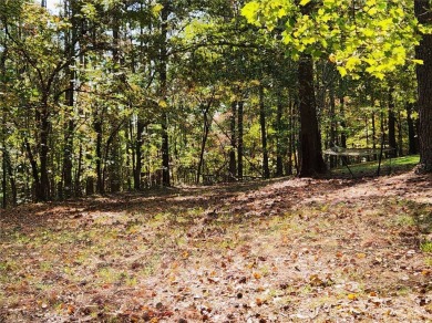 Welcome to your serene retreat in Salem, SC! This charming on The Cliffs At Keowee Falls in South Carolina - for sale on GolfHomes.com, golf home, golf lot