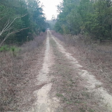 WELCOME TO COUNTY LIVING. With this 0.23 acre of quiet serene on Williston Highlands Golf and Country Club in Florida - for sale on GolfHomes.com, golf home, golf lot