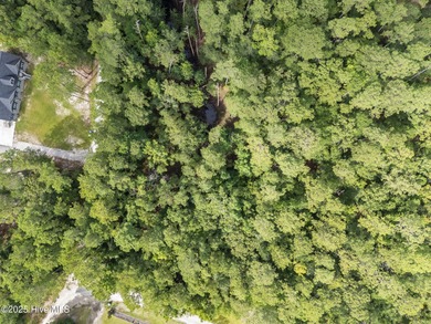 Discover the serenity of Boiling Spring Lakes with this on The Lakes Country Club in North Carolina - for sale on GolfHomes.com, golf home, golf lot