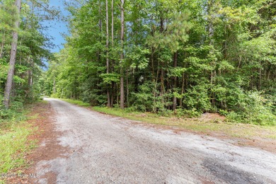 Discover the serenity of Boiling Spring Lakes with this on The Lakes Country Club in North Carolina - for sale on GolfHomes.com, golf home, golf lot