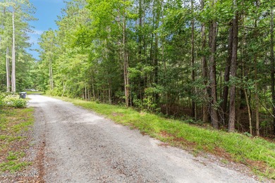 Discover the serenity of Boiling Spring Lakes with this on The Lakes Country Club in North Carolina - for sale on GolfHomes.com, golf home, golf lot