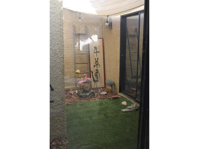 * More Photos coming soon!* Stunning upgraded home featuring the on Chaparral Country Club in California - for sale on GolfHomes.com, golf home, golf lot