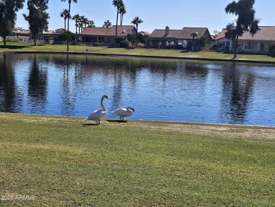 Discover this stunning fully remodeled Borgata model, featuring on Cottonwood Country Club in Arizona - for sale on GolfHomes.com, golf home, golf lot