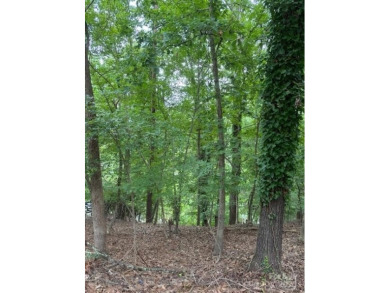 Bring your own builder and design the custom home you've always on Tega Cay Golf Club in South Carolina - for sale on GolfHomes.com, golf home, golf lot