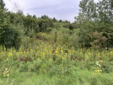 1.77 acre wooded lot on 5th hole of Frederic WI golf course. All on Frederic Country Club Inc. in Wisconsin - for sale on GolfHomes.com, golf home, golf lot