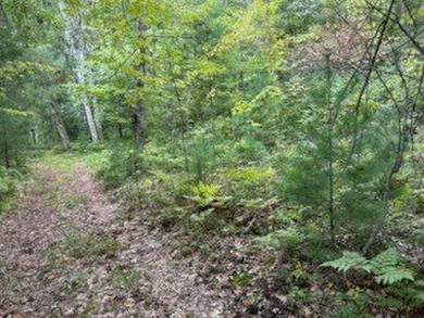1.77 acre wooded lot on 5th hole of Frederic WI golf course. All on Frederic Country Club Inc. in Wisconsin - for sale on GolfHomes.com, golf home, golf lot