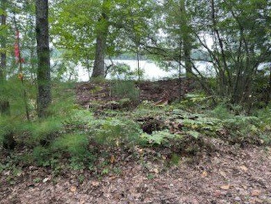 1.77 acre wooded lot on 5th hole of Frederic WI golf course. All on Frederic Country Club Inc. in Wisconsin - for sale on GolfHomes.com, golf home, golf lot