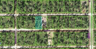 Welcome to Lake Estates - Florida's Hidden Gem.
Build your on Indian Lake Estates Golf and Country Club in Florida - for sale on GolfHomes.com, golf home, golf lot