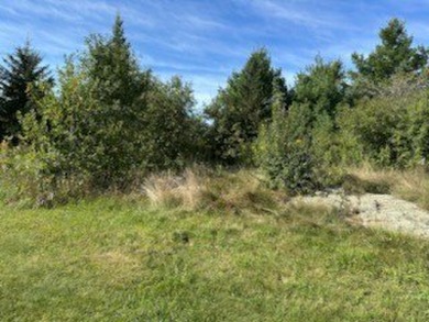 1.98 acre wooded lot on 5th hole of Frederic WI golf course. All on Frederic Country Club Inc. in Wisconsin - for sale on GolfHomes.com, golf home, golf lot