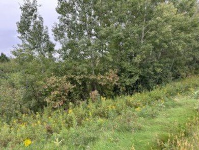 1.98 acre wooded lot on 5th hole of Frederic WI golf course. All on Frederic Country Club Inc. in Wisconsin - for sale on GolfHomes.com, golf home, golf lot