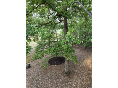 Hot Springs Village has many amenities that makes living here on Balboa Golf Course in Arkansas - for sale on GolfHomes.com, golf home, golf lot