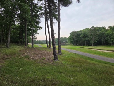 Hot Springs Village has many amenities that makes living here on Balboa Golf Course in Arkansas - for sale on GolfHomes.com, golf home, golf lot