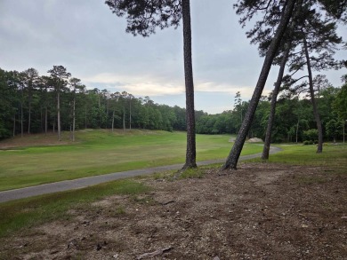 Hot Springs Village has many amenities that makes living here on Balboa Golf Course in Arkansas - for sale on GolfHomes.com, golf home, golf lot