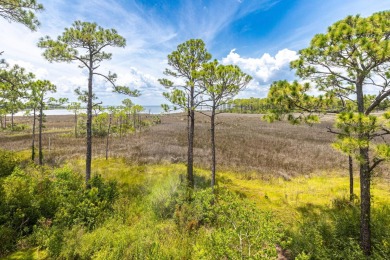 Wake up to breathtaking bay views and end each day with on Sandestin Golf and Beach Resort - The Links in Florida - for sale on GolfHomes.com, golf home, golf lot