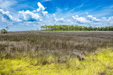 Wake up to breathtaking bay views and end each day with on Sandestin Golf and Beach Resort - The Links in Florida - for sale on GolfHomes.com, golf home, golf lot