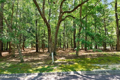 Come build your dream home in a highly sought-after neighborhood on Rivers Edge Golf Club in North Carolina - for sale on GolfHomes.com, golf home, golf lot