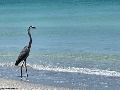 BEACH FRONT OPPORTUNITY on Longboat Key! Rare chance to own on Longboat Key Golf Club Resort in Florida - for sale on GolfHomes.com, golf home, golf lot