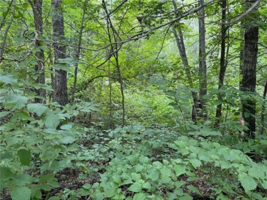 Buildable wooded lot in a neighborhood of newer homes. Lot has a on Deacons Lodge Golf Course in Minnesota - for sale on GolfHomes.com, golf home, golf lot