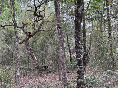 WILLISTON HIGHLANDS GOLF & COUNTRY CLUB ESTATES BUILDING LOT on Williston Highlands Golf and Country Club in Florida - for sale on GolfHomes.com, golf home, golf lot