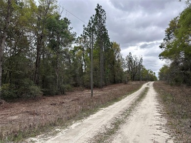 WILLISTON HIGHLANDS GOLF & COUNTRY CLUB ESTATES BUILDING LOT on Williston Highlands Golf and Country Club in Florida - for sale on GolfHomes.com, golf home, golf lot