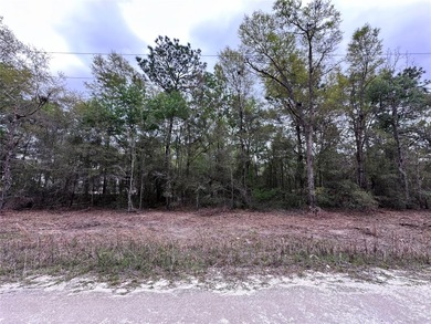 WILLISTON HIGHLANDS GOLF & COUNTRY CLUB ESTATES BUILDING LOT on Williston Highlands Golf and Country Club in Florida - for sale on GolfHomes.com, golf home, golf lot