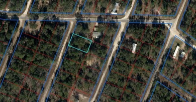 WILLISTON HIGHLANDS GOLF & COUNTRY CLUB ESTATES BUILDING LOT on Williston Highlands Golf and Country Club in Florida - for sale on GolfHomes.com, golf home, golf lot