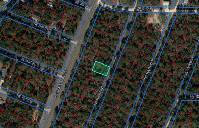 WILLISTON HIGHLANDS GOLF & COUNTRY CLUB ESTATES BUILDING LOT on Williston Highlands Golf and Country Club in Florida - for sale on GolfHomes.com, golf home, golf lot