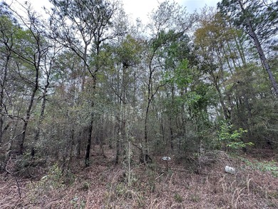 WILLISTON HIGHLANDS GOLF & COUNTRY CLUB ESTATES BUILDING LOT on Williston Highlands Golf and Country Club in Florida - for sale on GolfHomes.com, golf home, golf lot