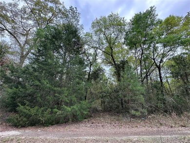 WILLISTON HIGHLANDS GOLF & COUNTRY CLUB ESTATES BUILDING LOT on Williston Highlands Golf and Country Club in Florida - for sale on GolfHomes.com, golf home, golf lot