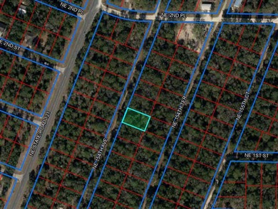 WILLISTON HIGHLANDS GOLF & COUNTRY CLUB ESTATES BUILDING LOT on Williston Highlands Golf and Country Club in Florida - for sale on GolfHomes.com, golf home, golf lot