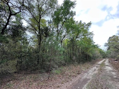 WILLISTON HIGHLANDS GOLF & COUNTRY CLUB ESTATES BUILDING LOT on Williston Highlands Golf and Country Club in Florida - for sale on GolfHomes.com, golf home, golf lot