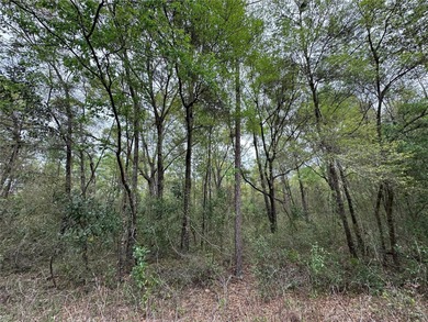 WILLISTON HIGHLANDS GOLF & COUNTRY CLUB ESTATES BUILDING LOT on Williston Highlands Golf and Country Club in Florida - for sale on GolfHomes.com, golf home, golf lot