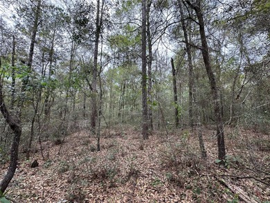 WILLISTON HIGHLANDS GOLF & COUNTRY CLUB ESTATES BUILDING LOT on Williston Highlands Golf and Country Club in Florida - for sale on GolfHomes.com, golf home, golf lot