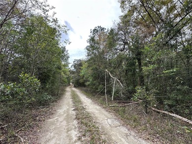 WILLISTON HIGHLANDS GOLF & COUNTRY CLUB ESTATES BUILDING LOT on Williston Highlands Golf and Country Club in Florida - for sale on GolfHomes.com, golf home, golf lot