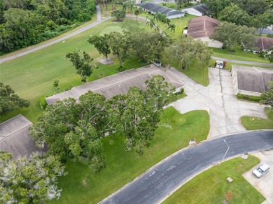 One or more photo(s) has been virtually staged. Step into on Highland Lakes Executive Golf Course in Florida - for sale on GolfHomes.com, golf home, golf lot