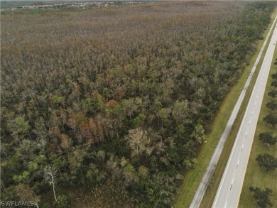This is a bird watchers paradise! Desirable Uncleared Raw Land on Heritage Palms Golf and Country Club in Florida - for sale on GolfHomes.com, golf home, golf lot
