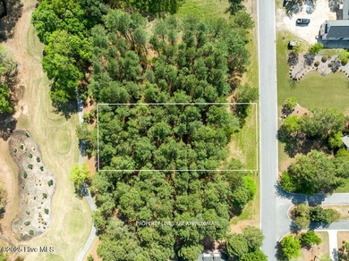 Located near the tee box of hole #14 of The Landing Course on River Landing Golf Course in North Carolina - for sale on GolfHomes.com, golf home, golf lot