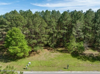 Located near the tee box of hole #14 of The Landing Course on River Landing Golf Course in North Carolina - for sale on GolfHomes.com, golf home, golf lot