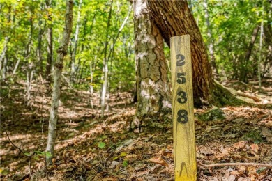 Come build your future dream home on this 2.16 acre up-sloping on Big Canoe Golf Club - Cherokee in Georgia - for sale on GolfHomes.com, golf home, golf lot