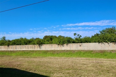 **ENORMOUS LIVING SPACE IN GOLDEN GATE** Enjoy one of the on Mainlands Golf Club in Florida - for sale on GolfHomes.com, golf home, golf lot