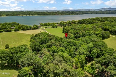 An unusual opportunity presents itself with this stunning on Baneberry Golf and Resort Club in Tennessee - for sale on GolfHomes.com, golf home, golf lot