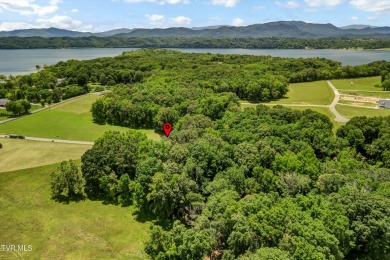 An unusual opportunity presents itself with this stunning on Baneberry Golf and Resort Club in Tennessee - for sale on GolfHomes.com, golf home, golf lot