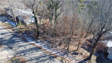 Looking to make Bella Vista your new home? Then look no further- on Bella Vista Country Club - Scottsdale in Arkansas - for sale on GolfHomes.com, golf home, golf lot