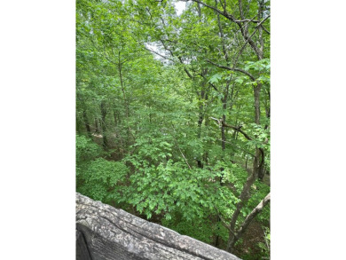 Your personal tree house! Seasonal view of a Lake Monroe inlet on The Eagle Pointe Golf Resort in Indiana - for sale on GolfHomes.com, golf home, golf lot