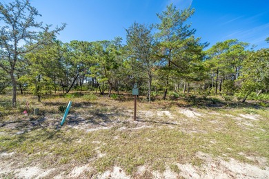 Build your dream home on this 0.26-acre waterview lot located on on Sharks Tooth Golf Club in Florida - for sale on GolfHomes.com, golf home, golf lot