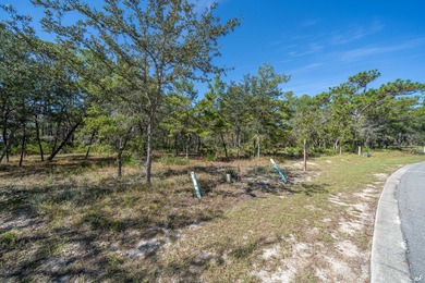 Build your dream home on this 0.26-acre waterview lot located on on Sharks Tooth Golf Club in Florida - for sale on GolfHomes.com, golf home, golf lot