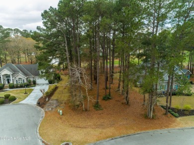 Build Your Dream Home in Brunswick Plantation! Discover the on Brunswick Plantation and Golf Resorts in North Carolina - for sale on GolfHomes.com, golf home, golf lot