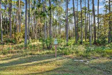 Build your dream home or vacation retreat on this spacious and on Sharks Tooth Golf Club in Florida - for sale on GolfHomes.com, golf home, golf lot