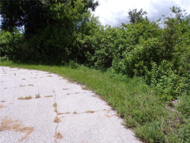 This lot is on a quiet street that would be a great place to on Duffys Golf Center in Florida - for sale on GolfHomes.com, golf home, golf lot