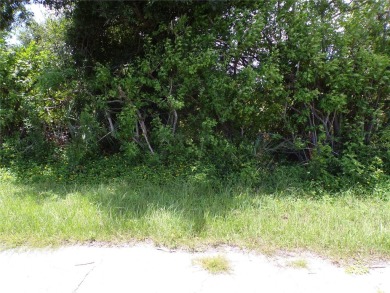 This lot is on a quiet street that would be a great place to on Duffys Golf Center in Florida - for sale on GolfHomes.com, golf home, golf lot